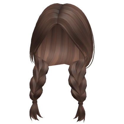 Country Girl Brown Braids
