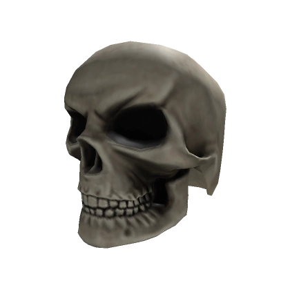 Skull Head Skull Head