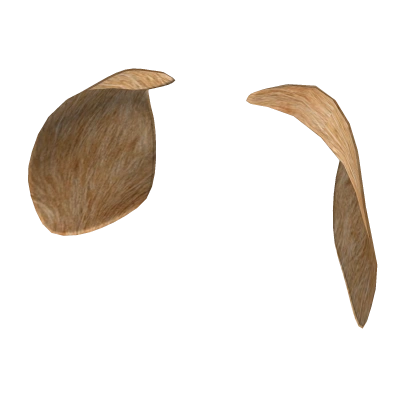 Dog Ears Dog Ears