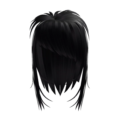 Black Straight Messy Emo Raccoon Hair Black Straight Messy Emo Raccoon Hair