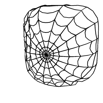 Tight Black Web Veil Tight Black Web Veil