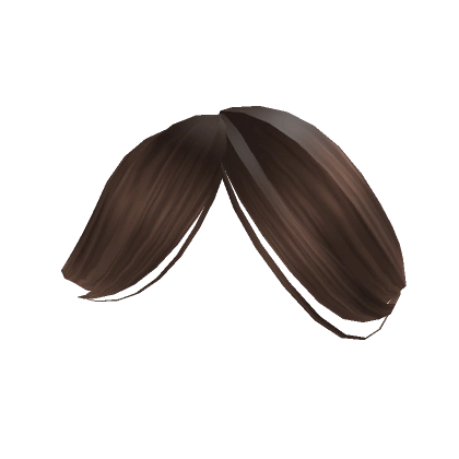 Swept Bangs in Brown Swept Bangs in Brown