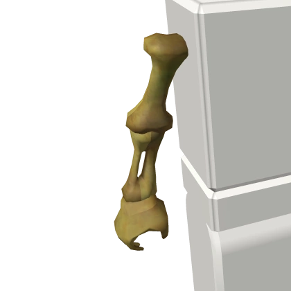 Skeleton Right Arm Skeleton Right Arm