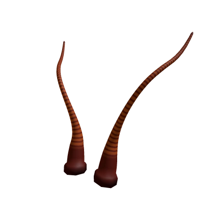 Roach Antennae Roach Antennae