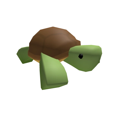 Turtle Plopped on your Head, Cutely Turtle Plopped on your Head, Cutely