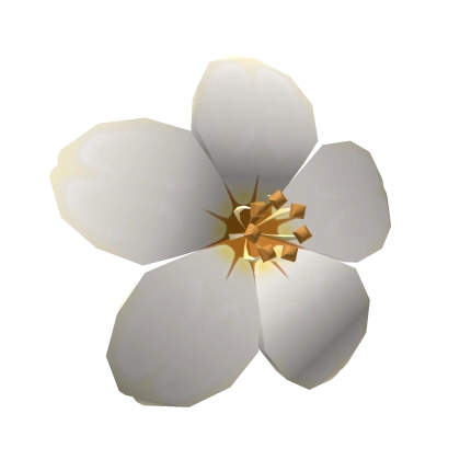 White Hair Flower White Hair Flower