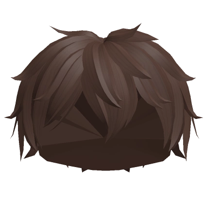 Messy Boy Hair in Brown