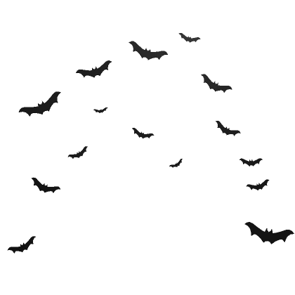 Bat Confetti