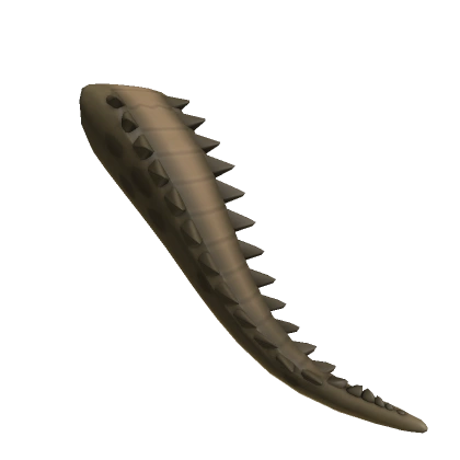 Swamp Gator Tail Swamp Gator Tail