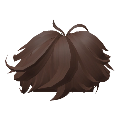 Brown Messy Fluffy Hair Brown Messy Fluffy Hair
