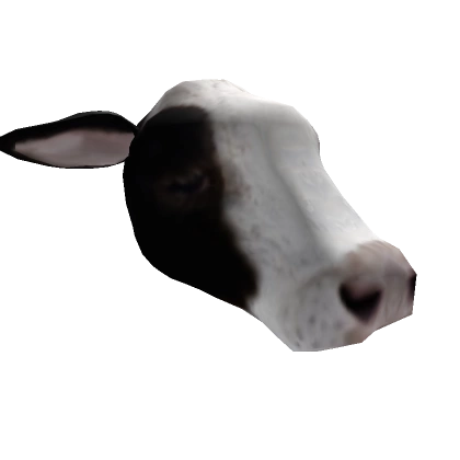 Cow Head Black Cow Head Black