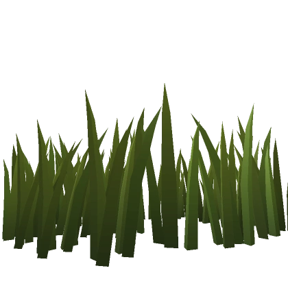 Tall Grass