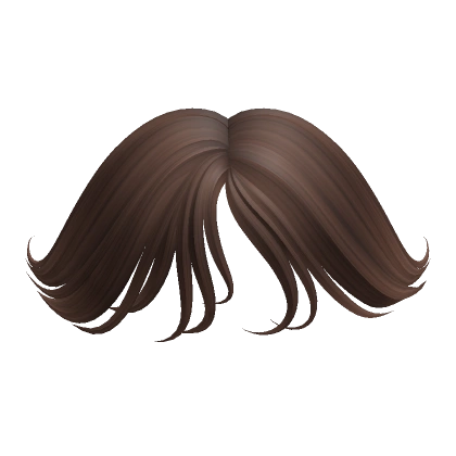Wispy Bangs in Brown Wispy Bangs in Brown