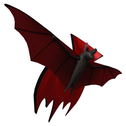 Cloak of the Undying Cloak of the Undying