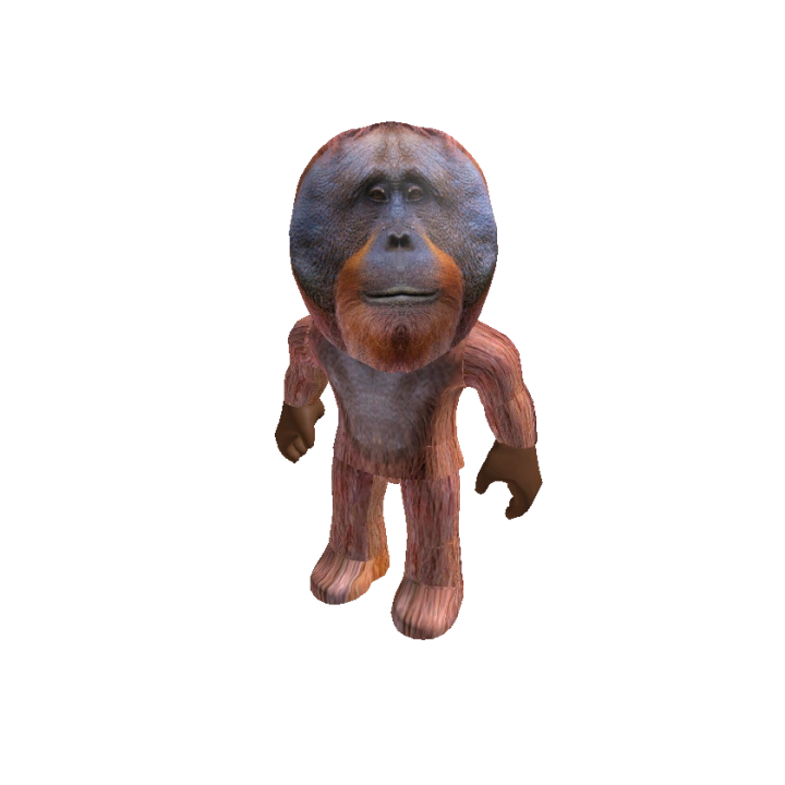Roblox Character Livya_png